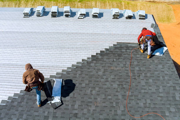 Best Local Roofing Companies  in Lmar, DE