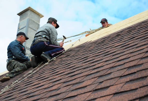 Quick and Trustworthy Emergency Roof Repair Services in Delmar, DE