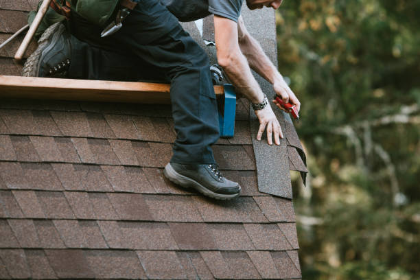 Best Roof Maintenance Services  in Lmar, DE