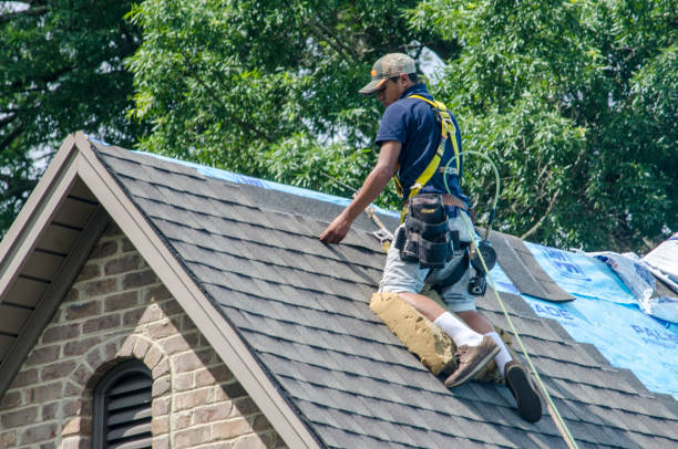 Best Emergency Roof Repair  in Lmar, DE